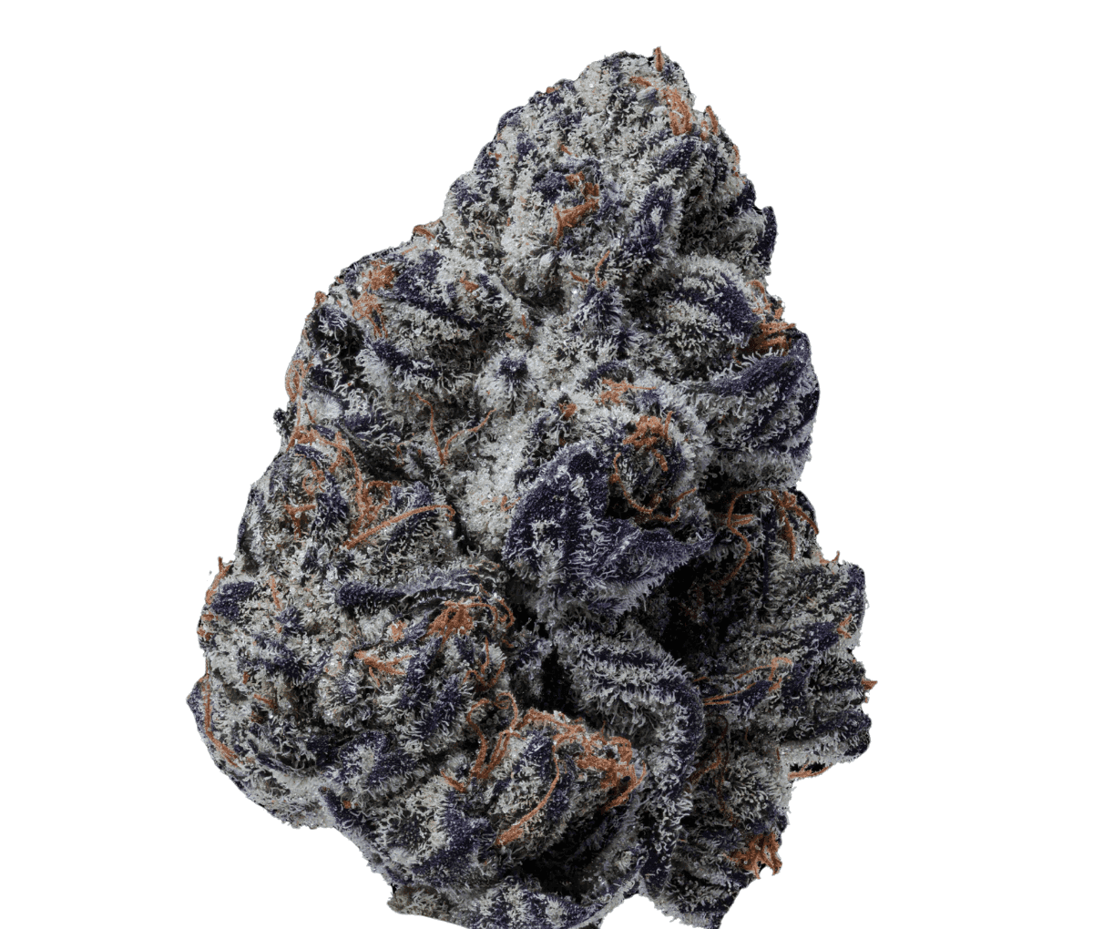 28/1 IUVO Killer Cupcake