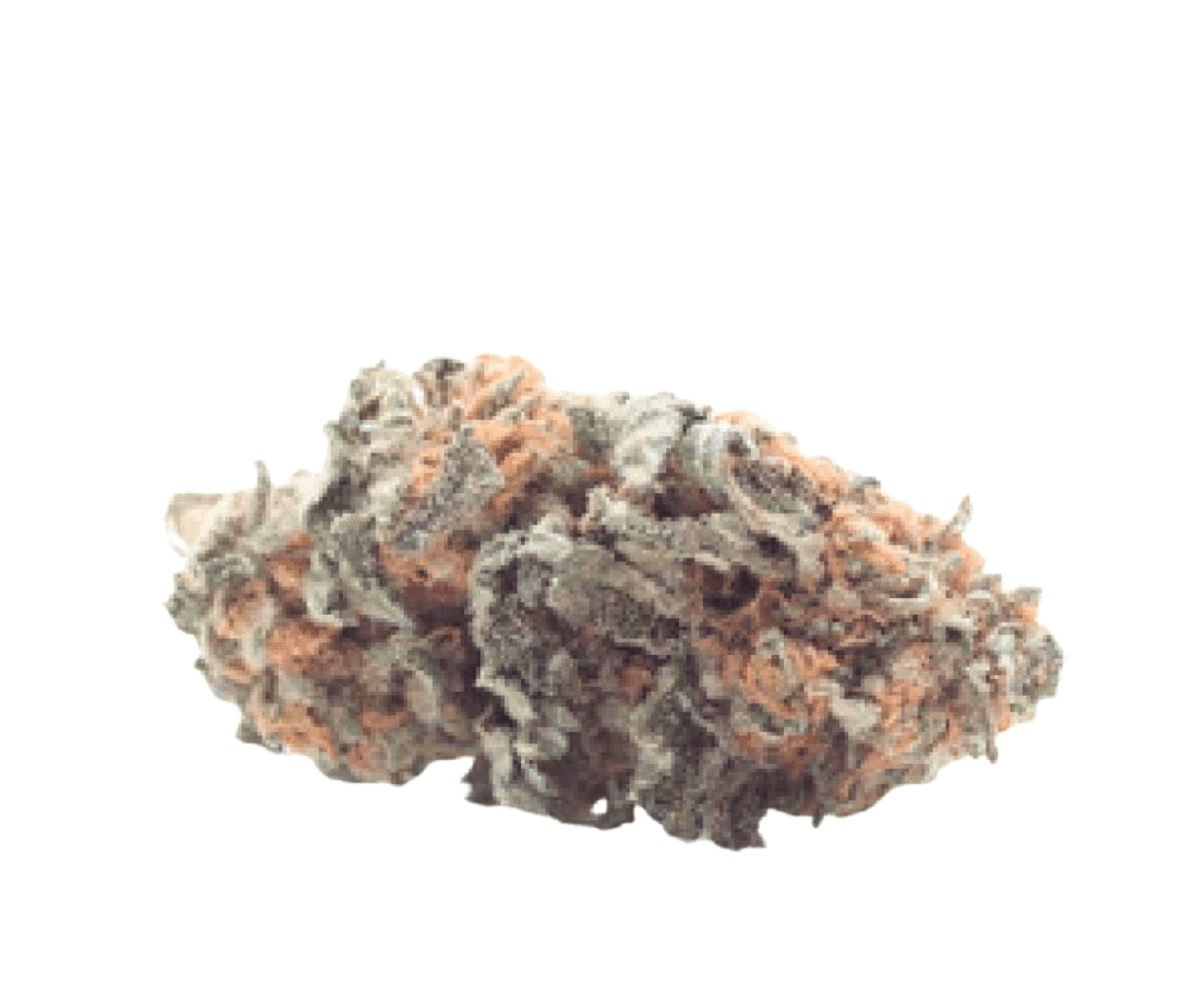 Tweed 21/1 Wappa Tweed 21/1 Wappa