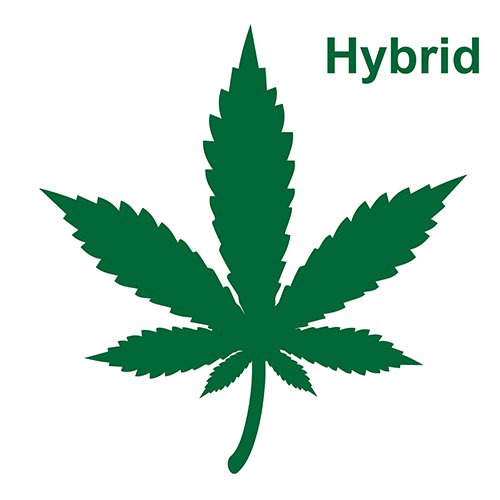 Systemicon zur visualisierung von Hybridsorten