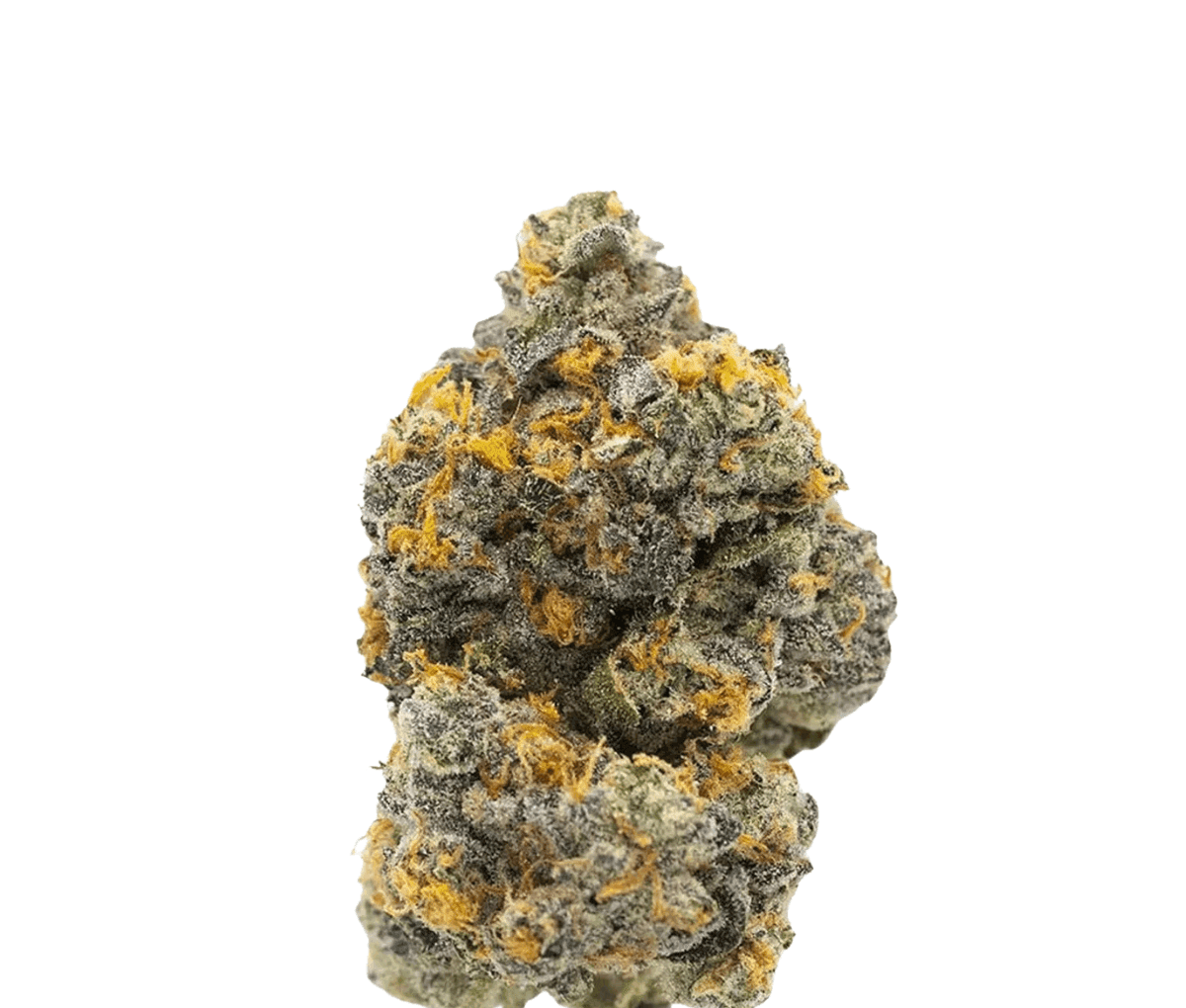 Drapalin 31/1 Da Fux - Gary Payton x Gushers