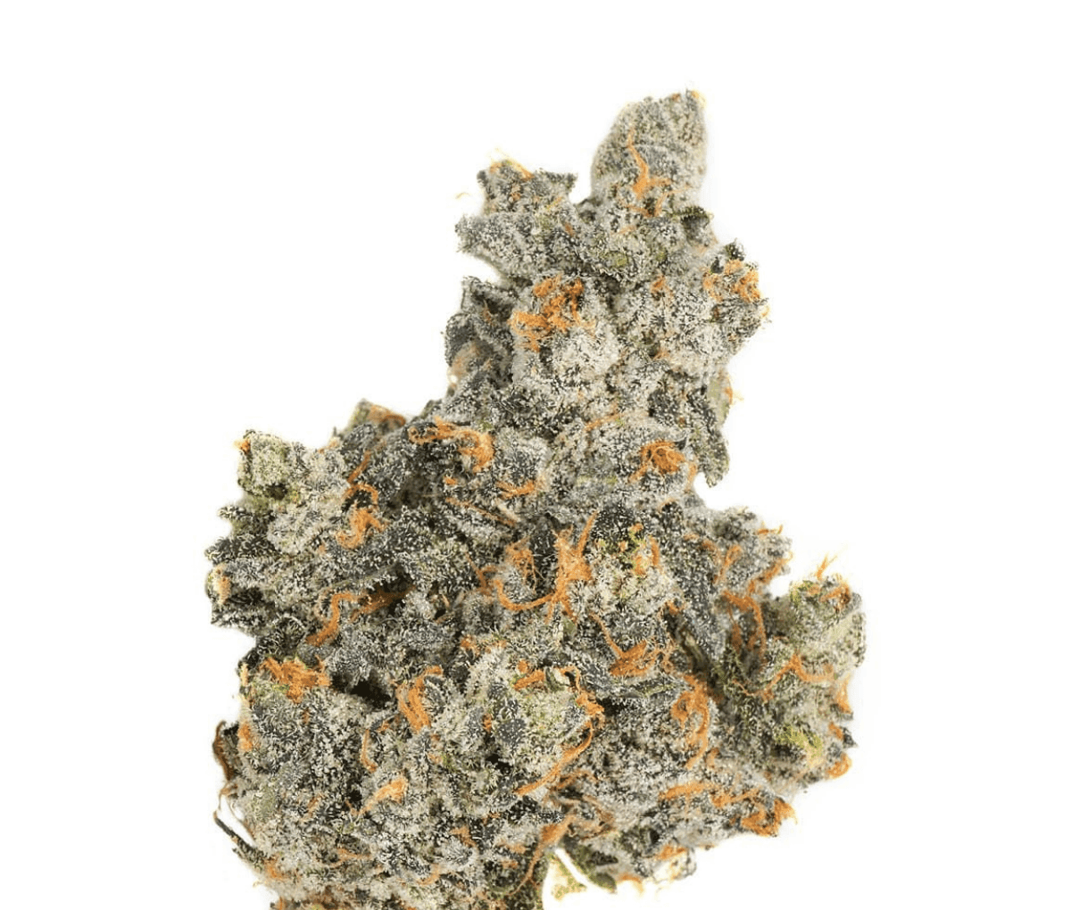 LOT420 ATA PT - Atomic Apple LOT420 ATA PT - Atomic Apple