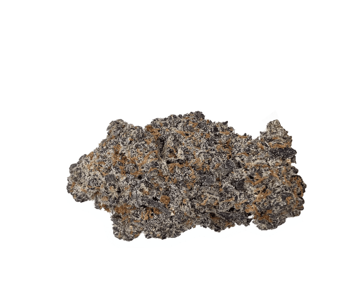 Canopy TCK 27 - Tiger Cake Canopy TCK 27 - Tiger Cake