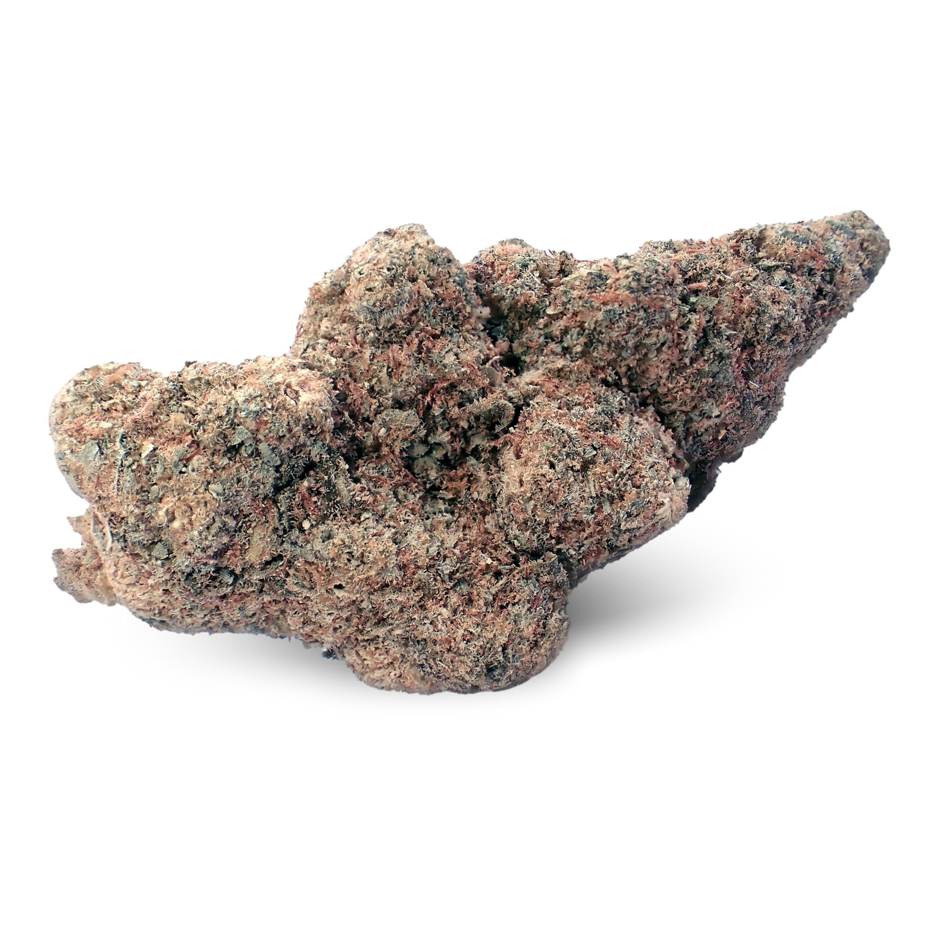 Nahaufnahme einer medizinischen Cannabisblüte