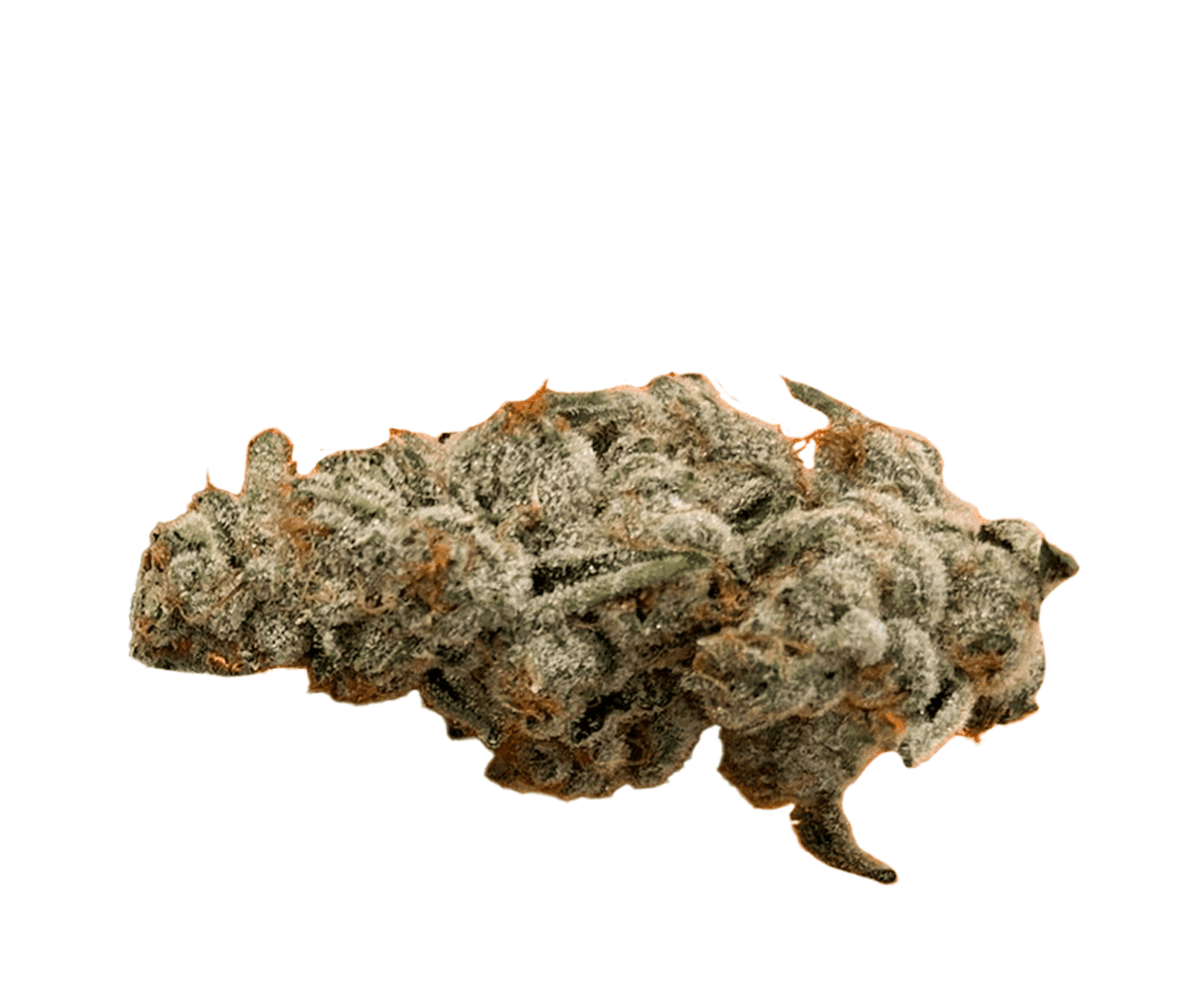 420 Evolution 30/1 CA PCH - Peach Chementine