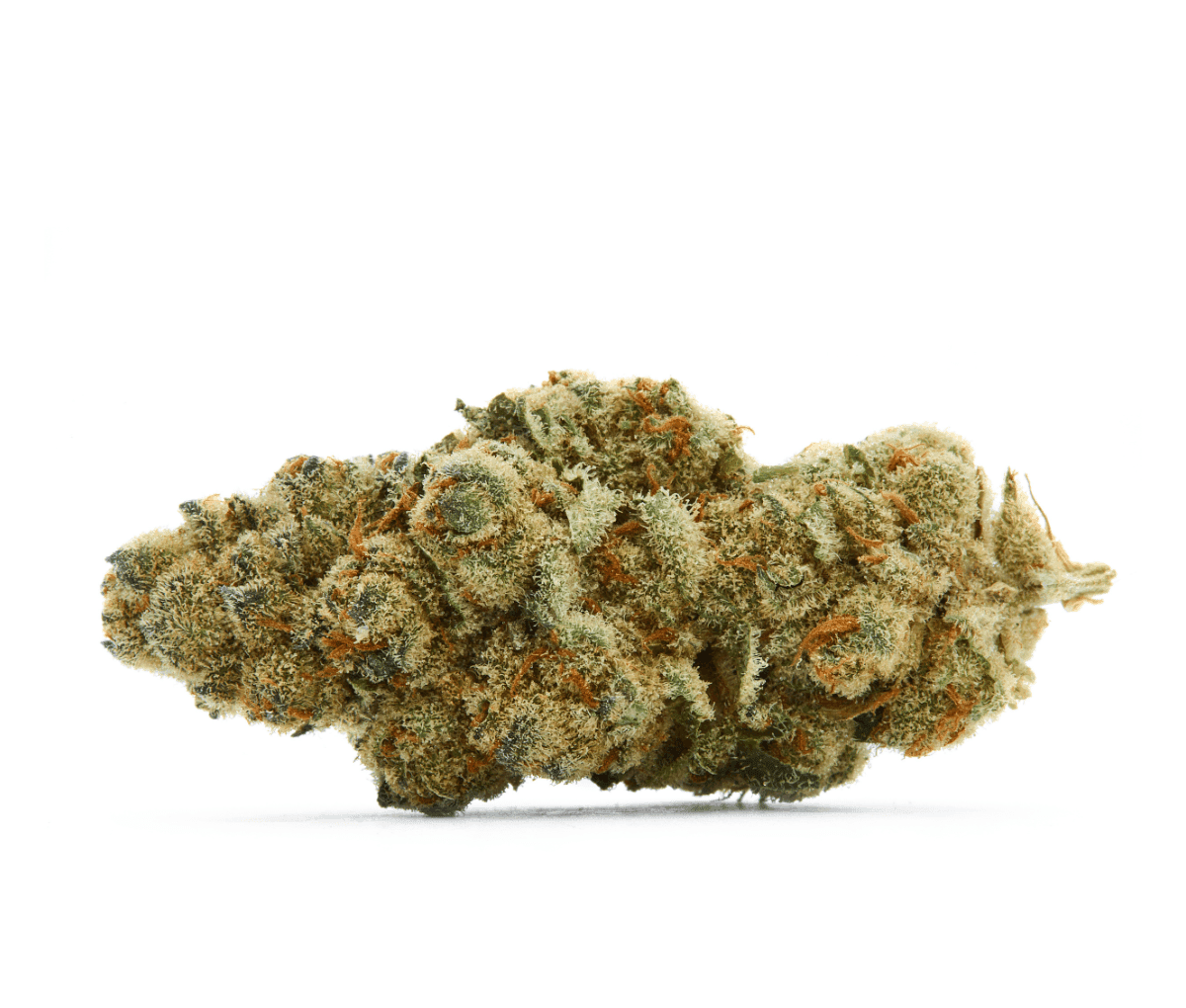 IMC EC2 THC22 - El Chivo IMC EC2 THC22 - El Chivo