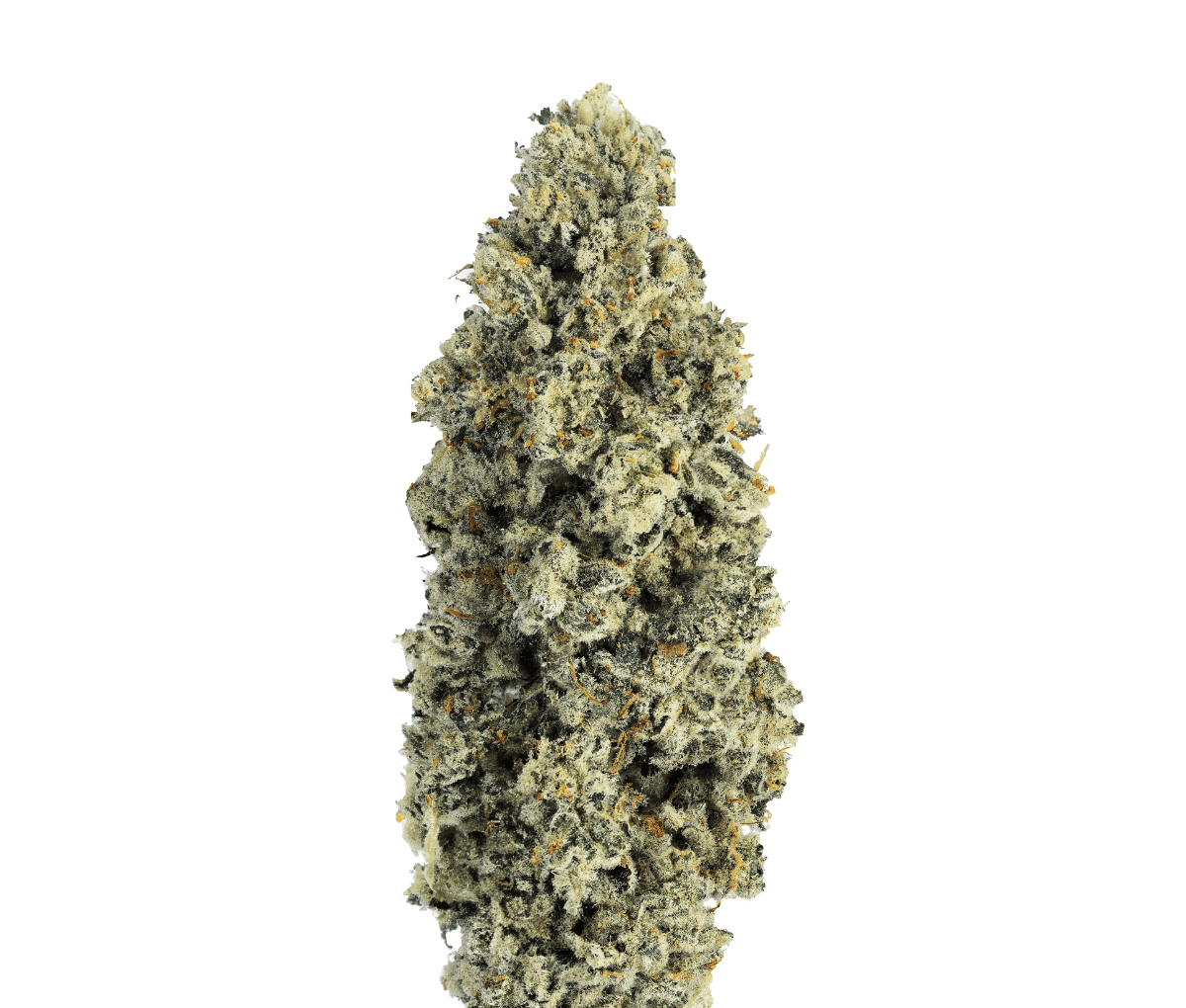 CNBS CPJ 31/1 - Cap Junky CNBS CPJ 31/1 - Cap Junky