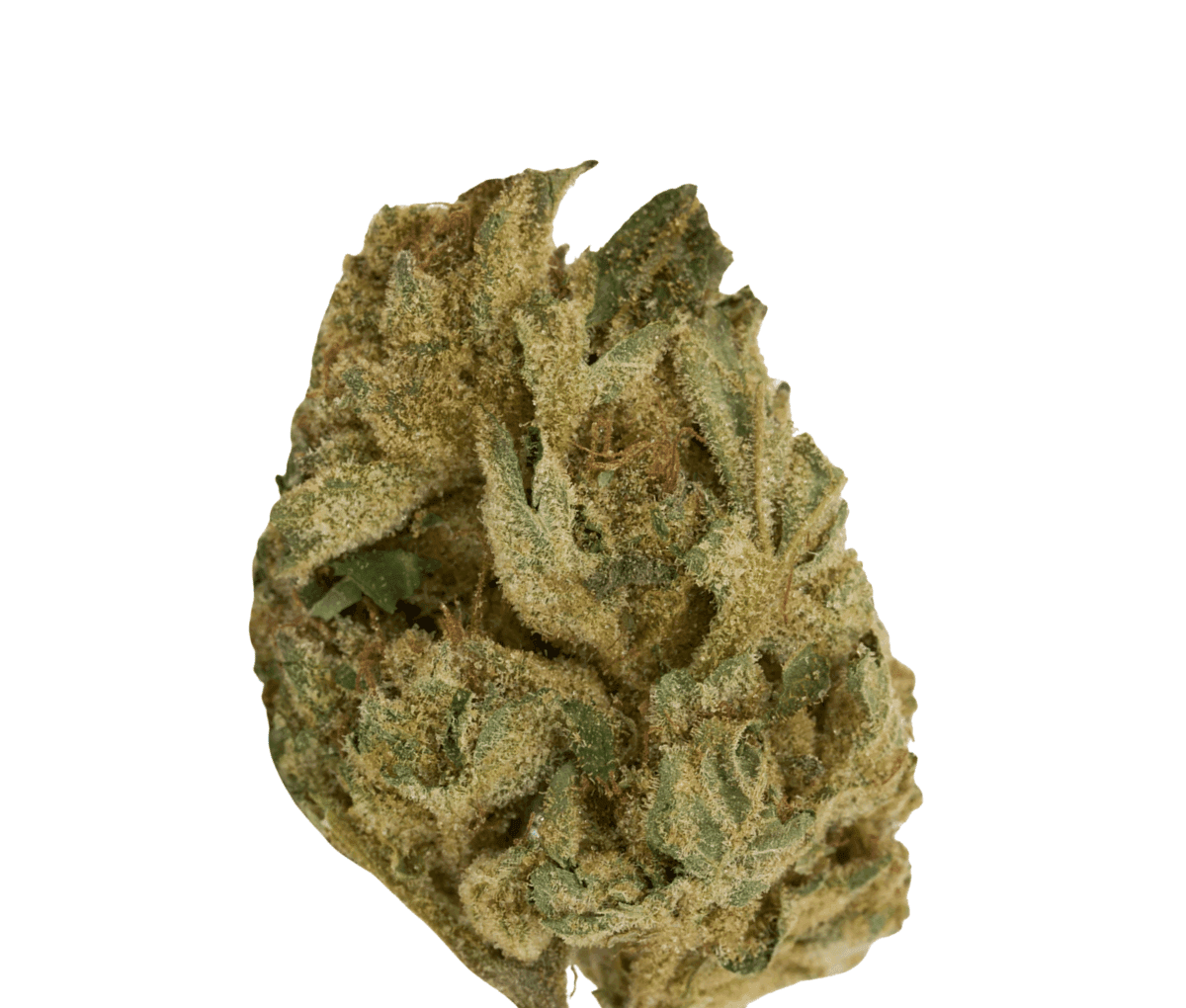 HiSociety 27/1 - Deep Breath