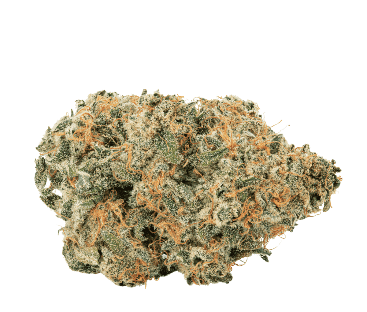 avaay 34/1 SCP - Sour Cherry Punch