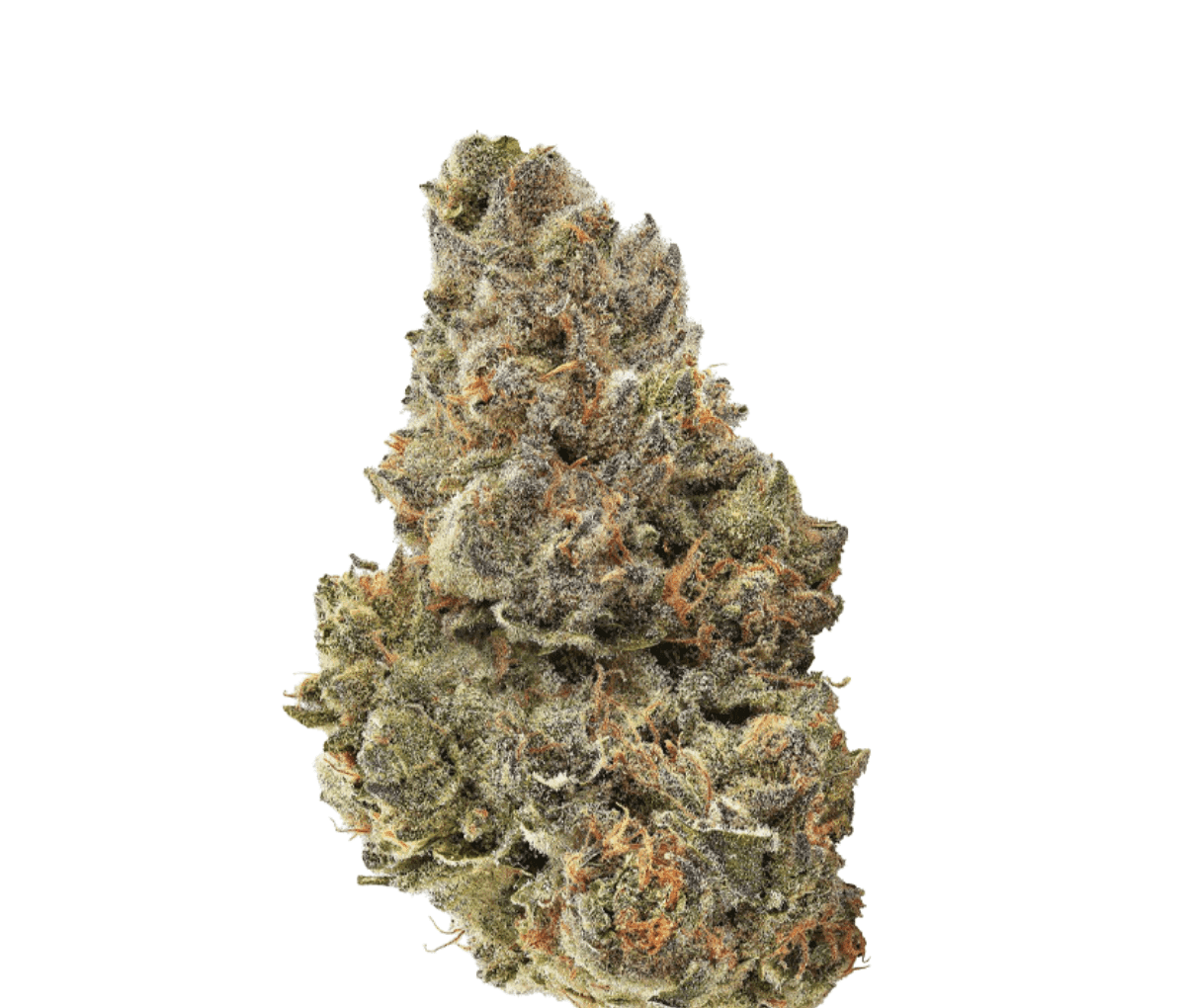 Remexian 27/1 CIV SBU Strawberry Bubbles