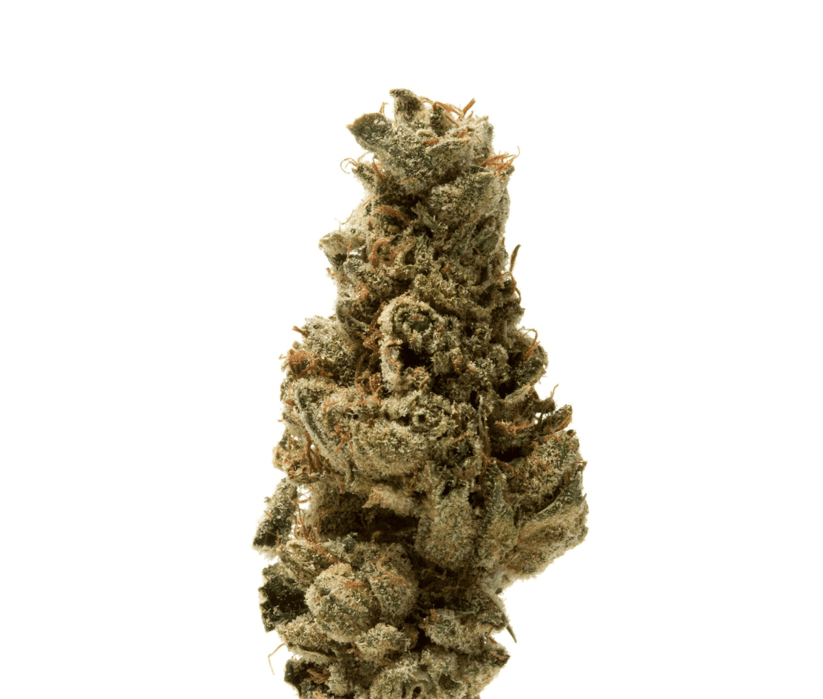 420 Compound 27/1 CA BER - Berlin Berries 420 Compound 27/1 CA BER - Berlin Berries