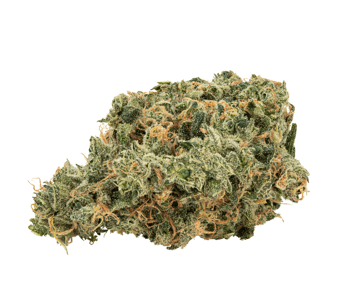 avaay 35/1 SCG - Super Citra G