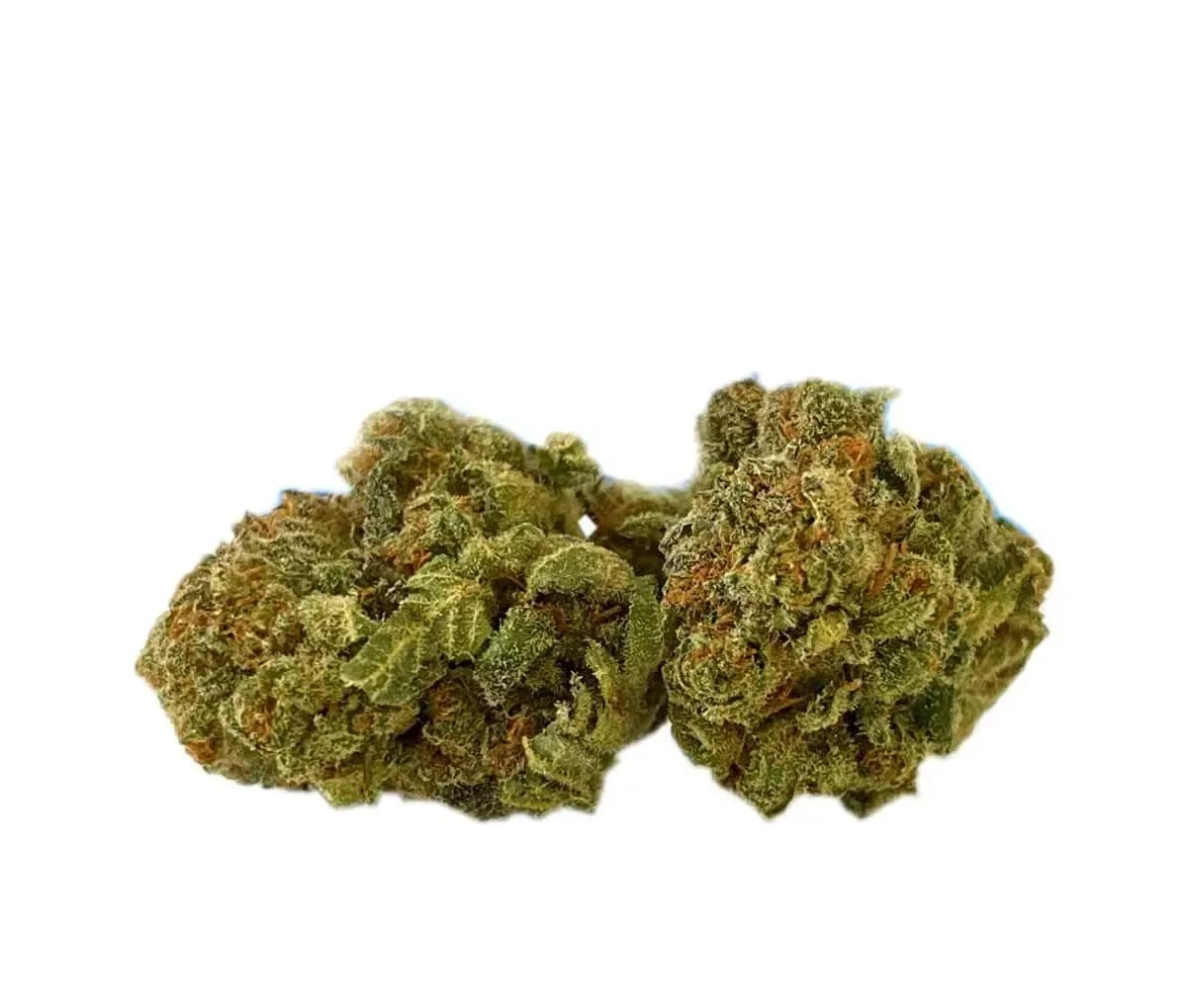 Tilray THC10:CBD10 Warlock No.2 - Warlock CBD