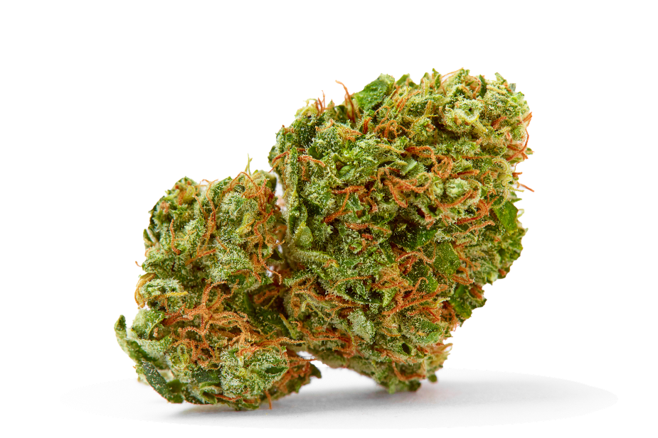 Nahaufnahme einer medizinischen Cannabisblüte