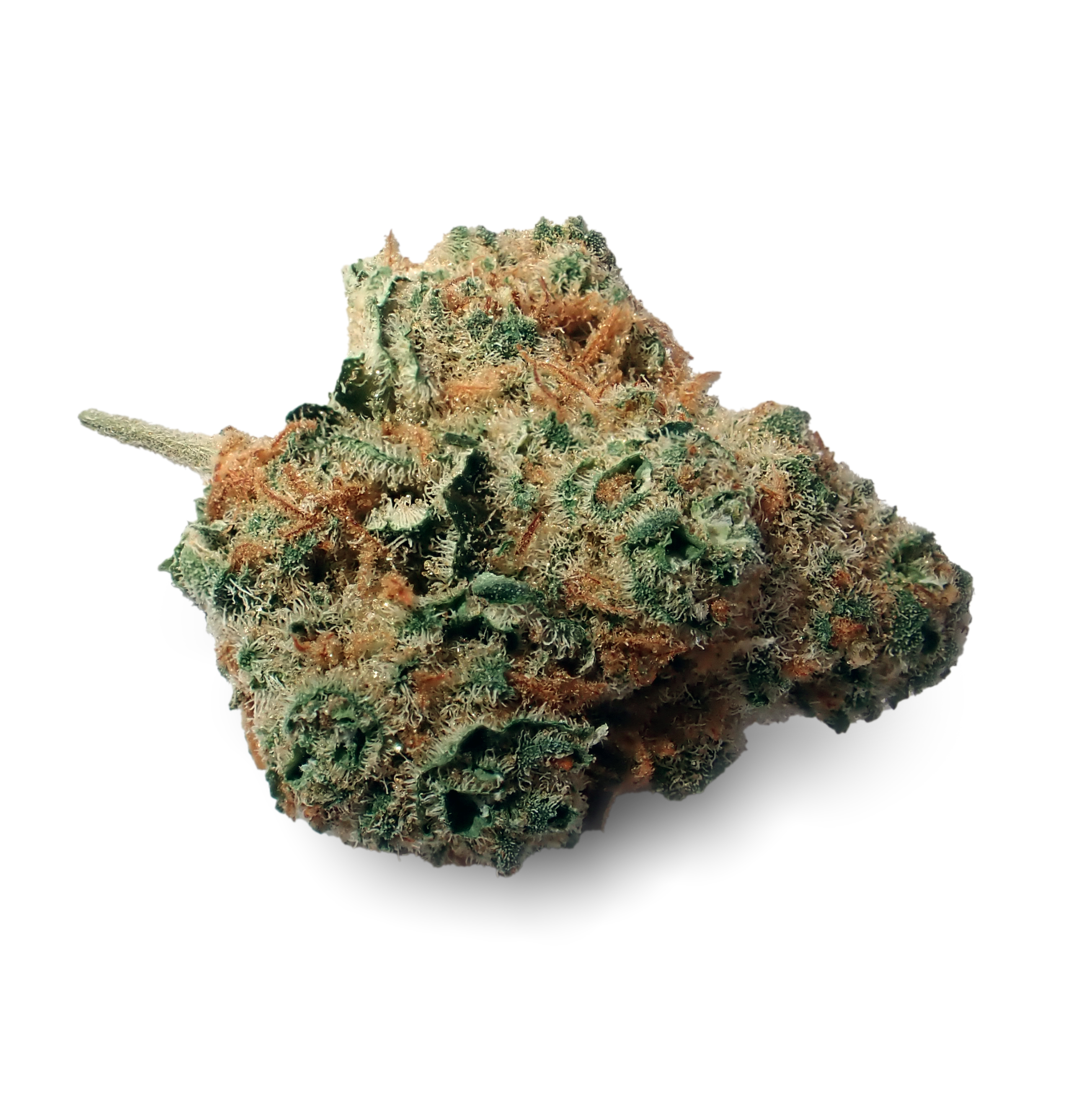 Nahaufnahme einer medizinischen Cannabisblüte