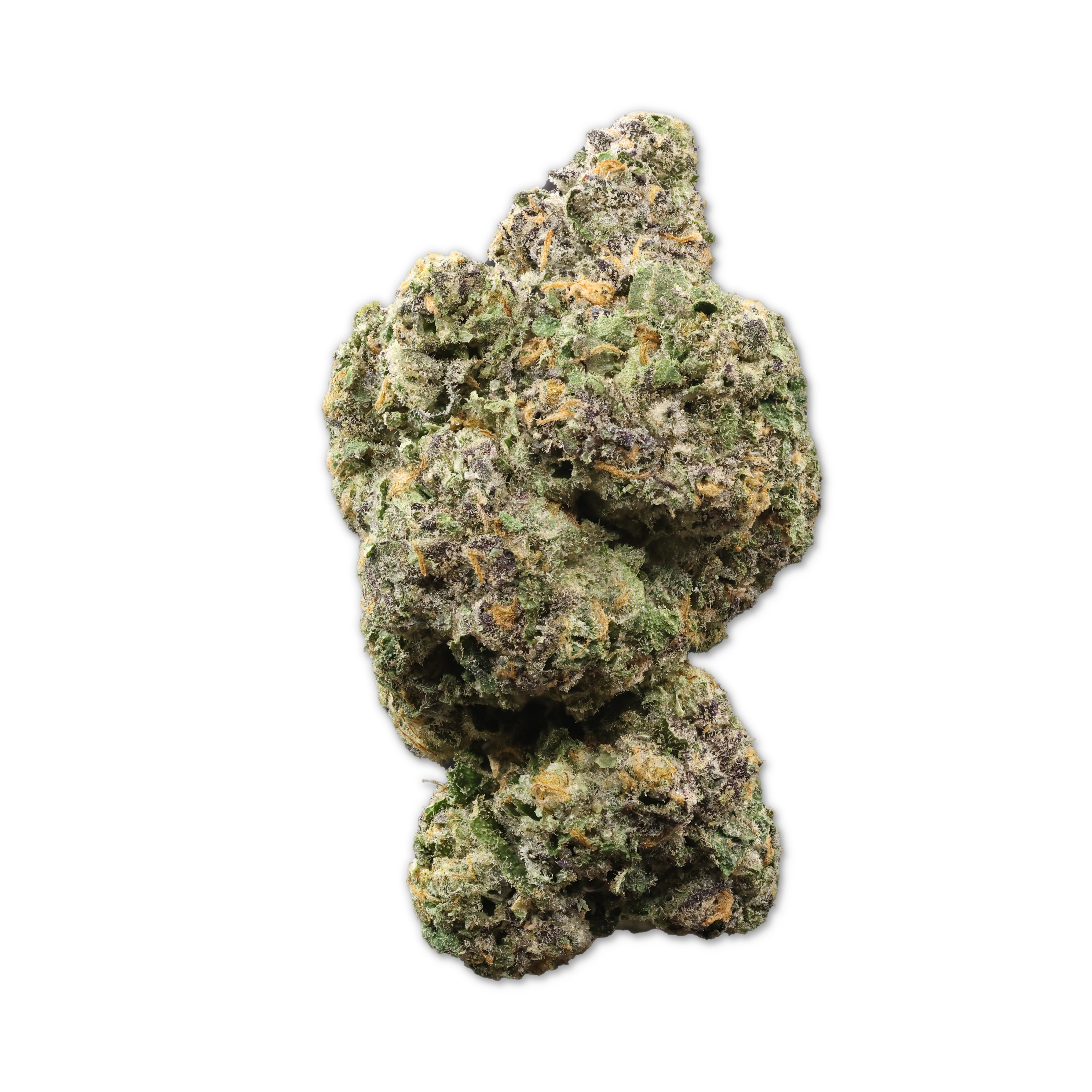 Nahaufnahme einer medizinischen Cannabisblüte