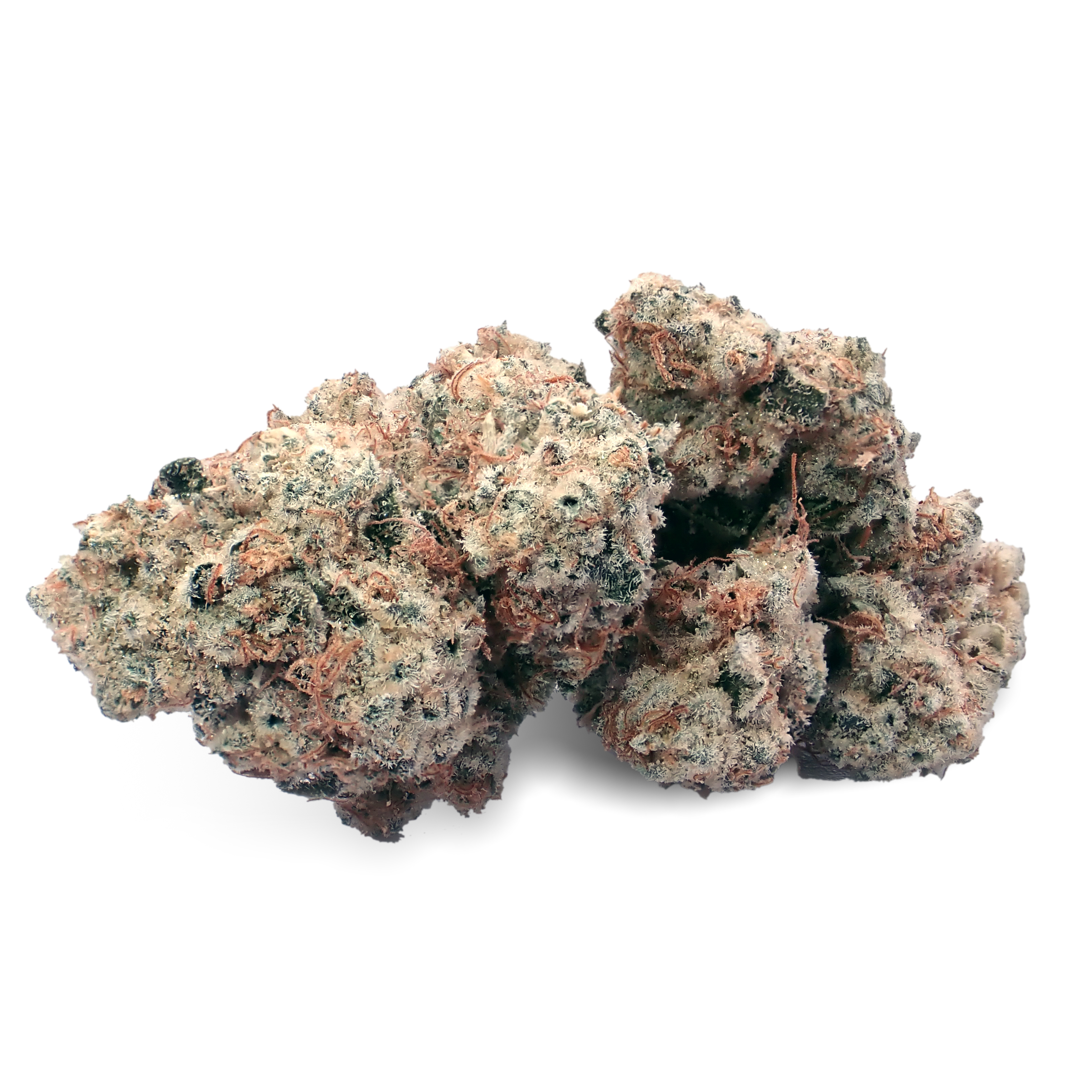 Nahaufnahme einer medizinischen Cannabisblüte