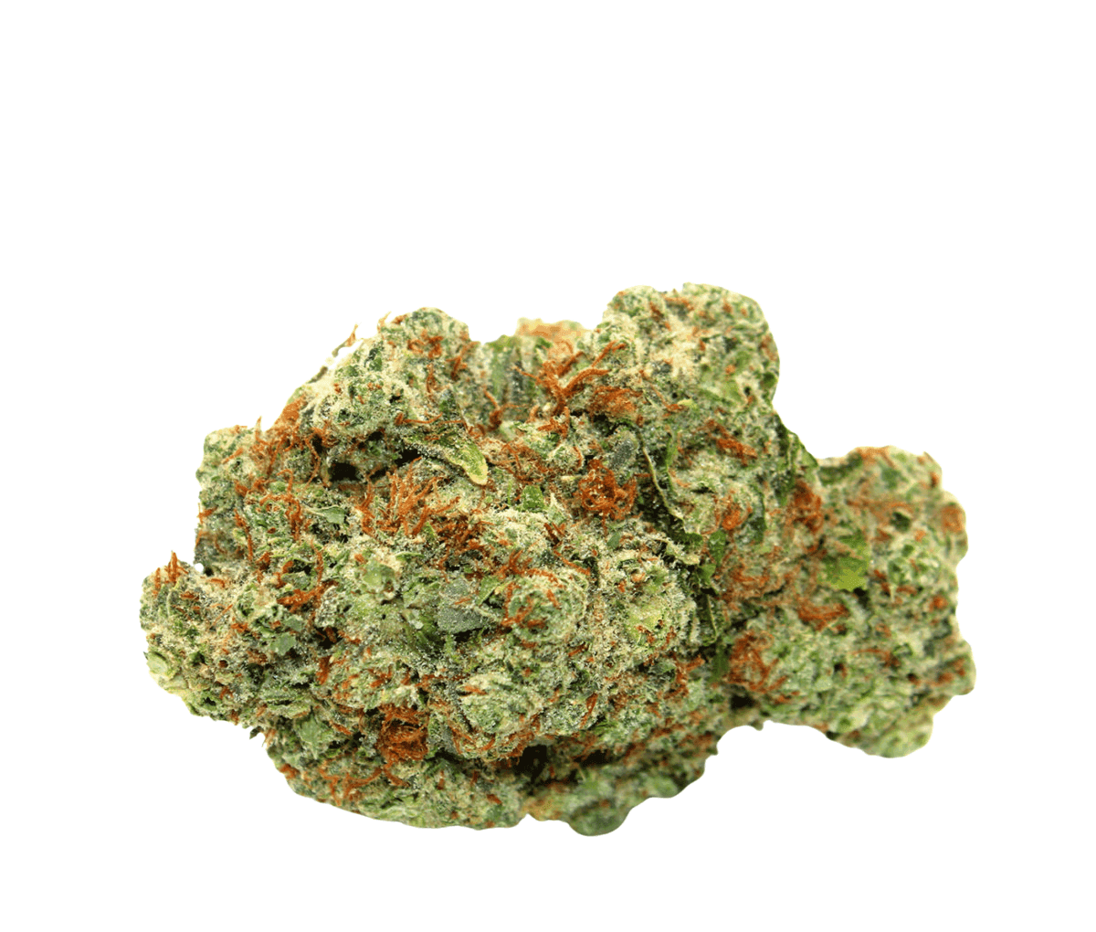 Canify 23/1 PRT - Black Cherry Pie Canify 23/1 PRT - Black Cherry Pie