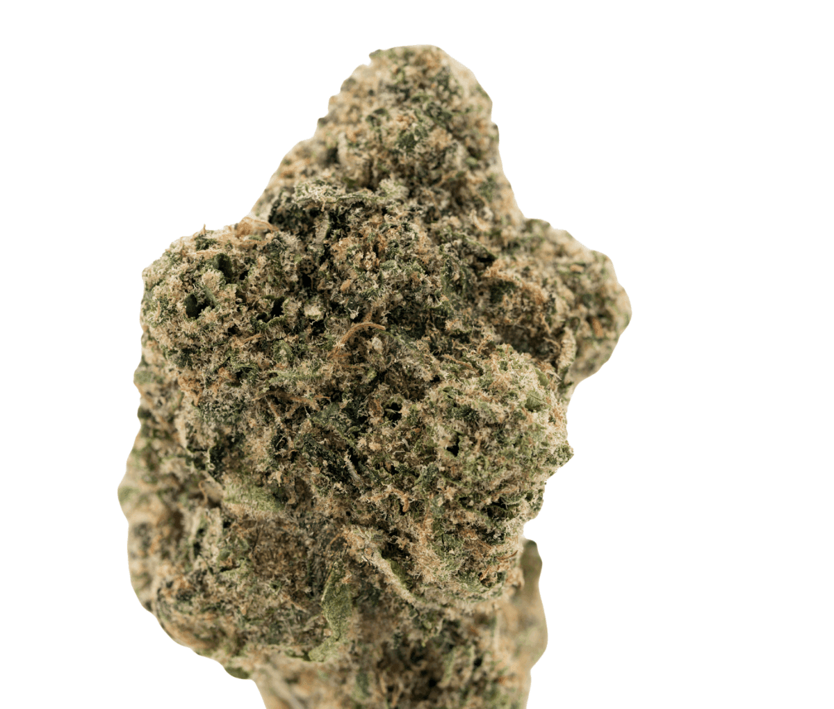 Demecan CRAFT Magister 24:01 BM - Black Marker Demecan CRAFT Magister 24:01 BM - Black Marker