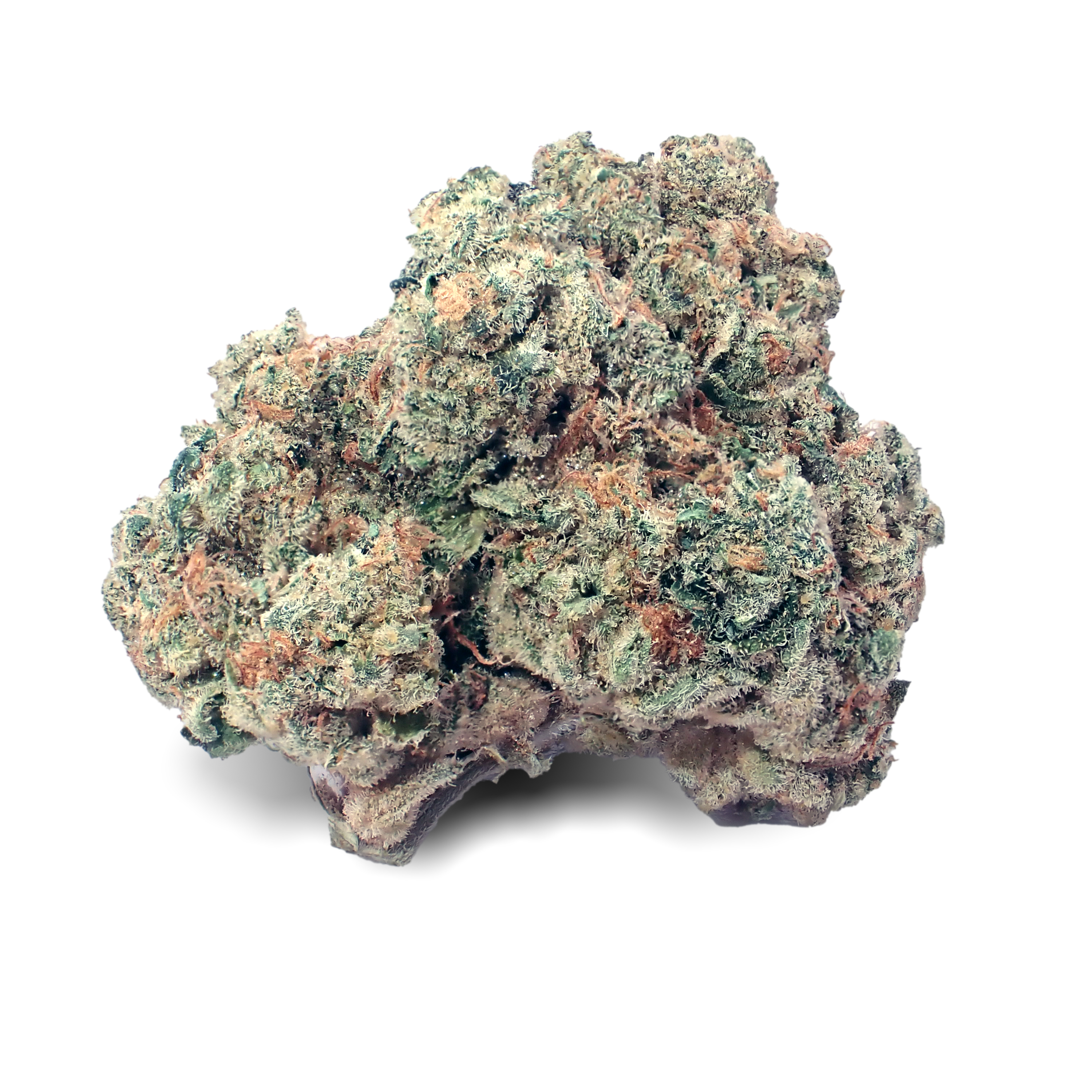 Nahaufnahme einer medizinischen Cannabisblüte