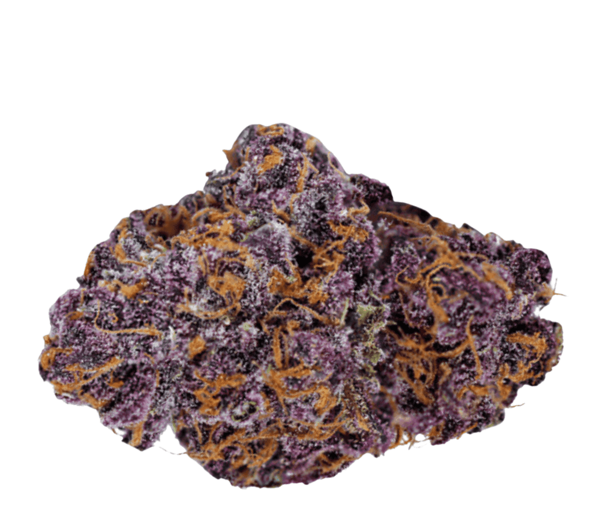Tilray THC25 Spotlight Porto - Purps