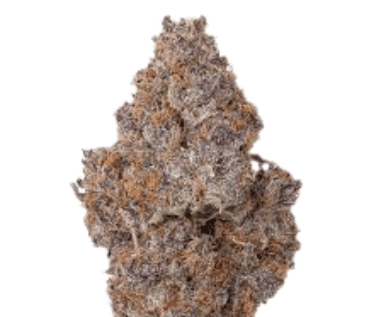 420 Evolution 27/1 CA PEX - Pineapple Fruz