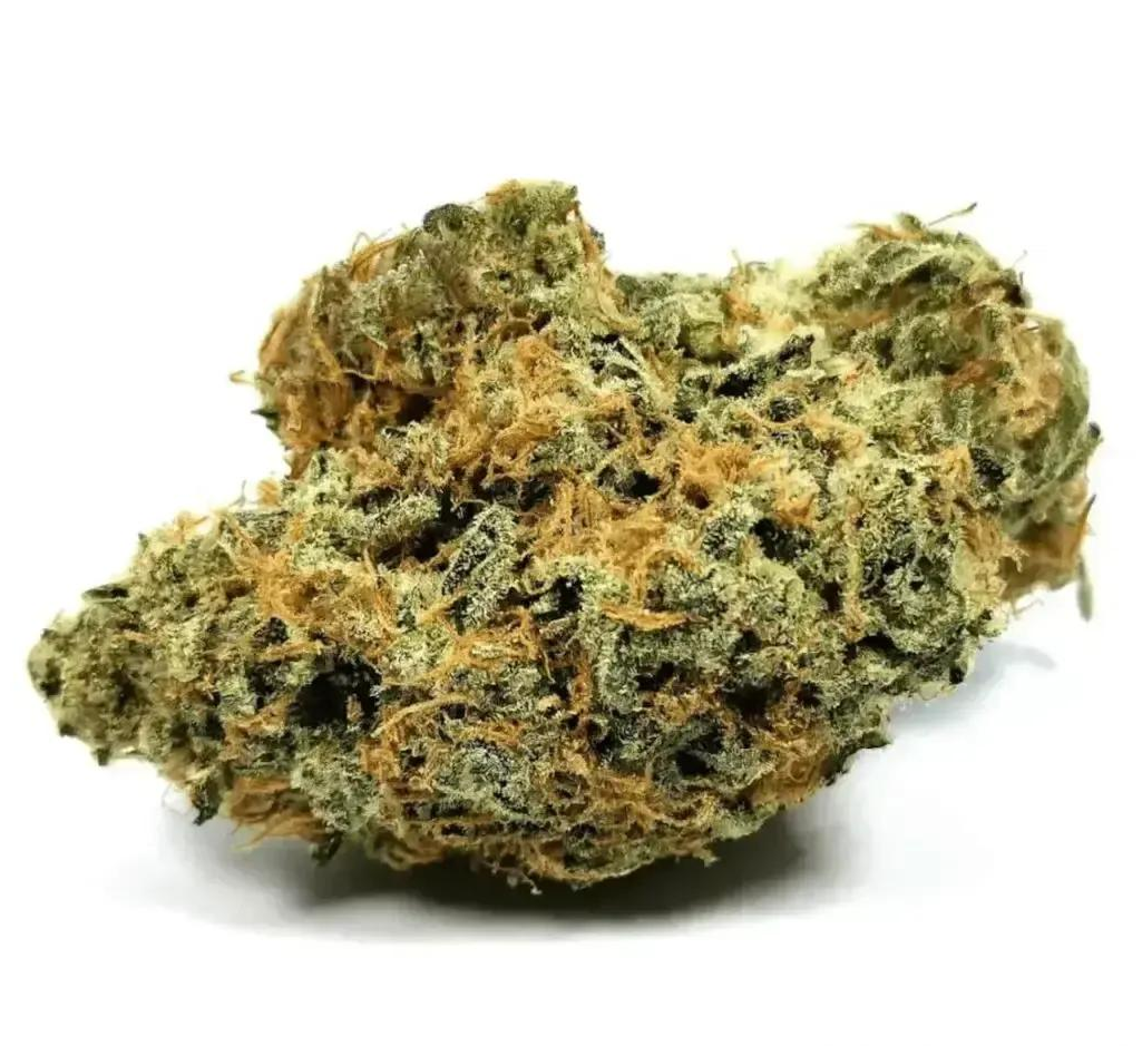 Nimbus Easy 22/1 La Sage Nimbus Easy 22/1 La Sage