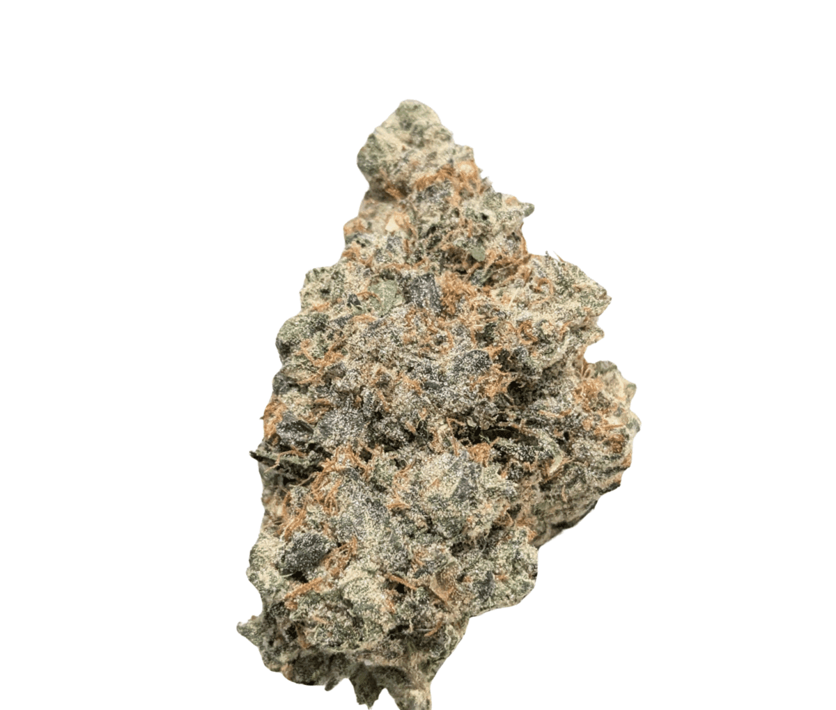 Bathera 30/1 PP - Polar Pop Bathera 30/1 PP - Polar Pop