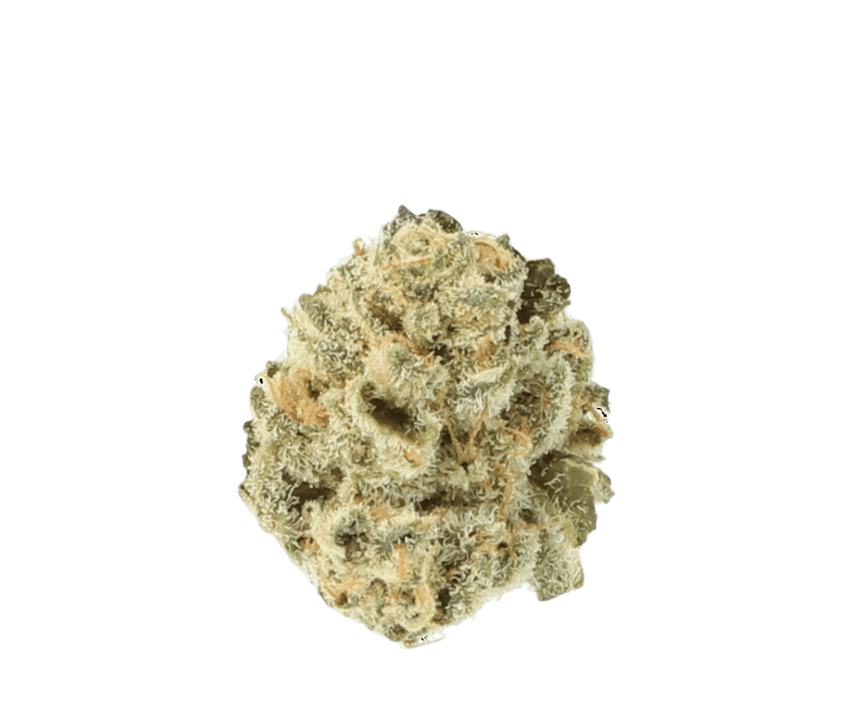 Cannamedical Indica forte - El Jefe