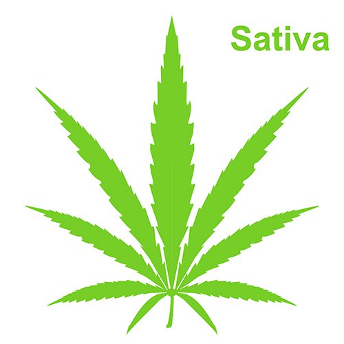 Systemicon zur visualisierung von Sativasorten