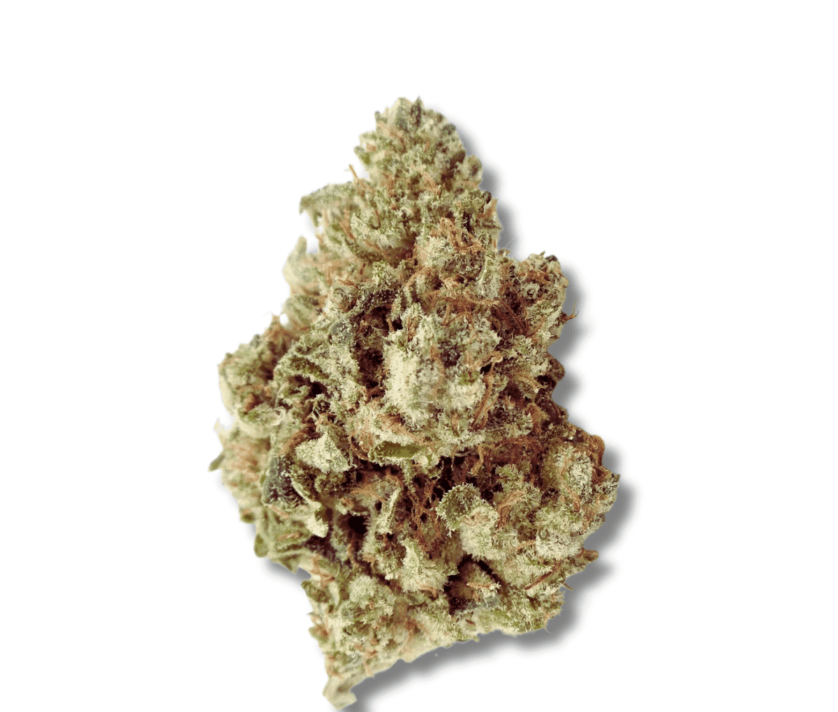 Nimbus easy 20/1 - Hellfire