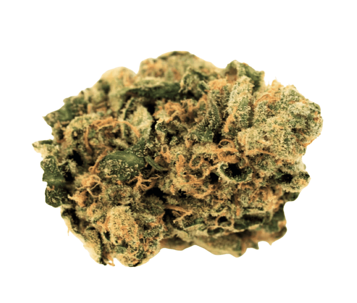 Cannamedical Indica Classic DK 20/1 - Cookies Kerosene Punch