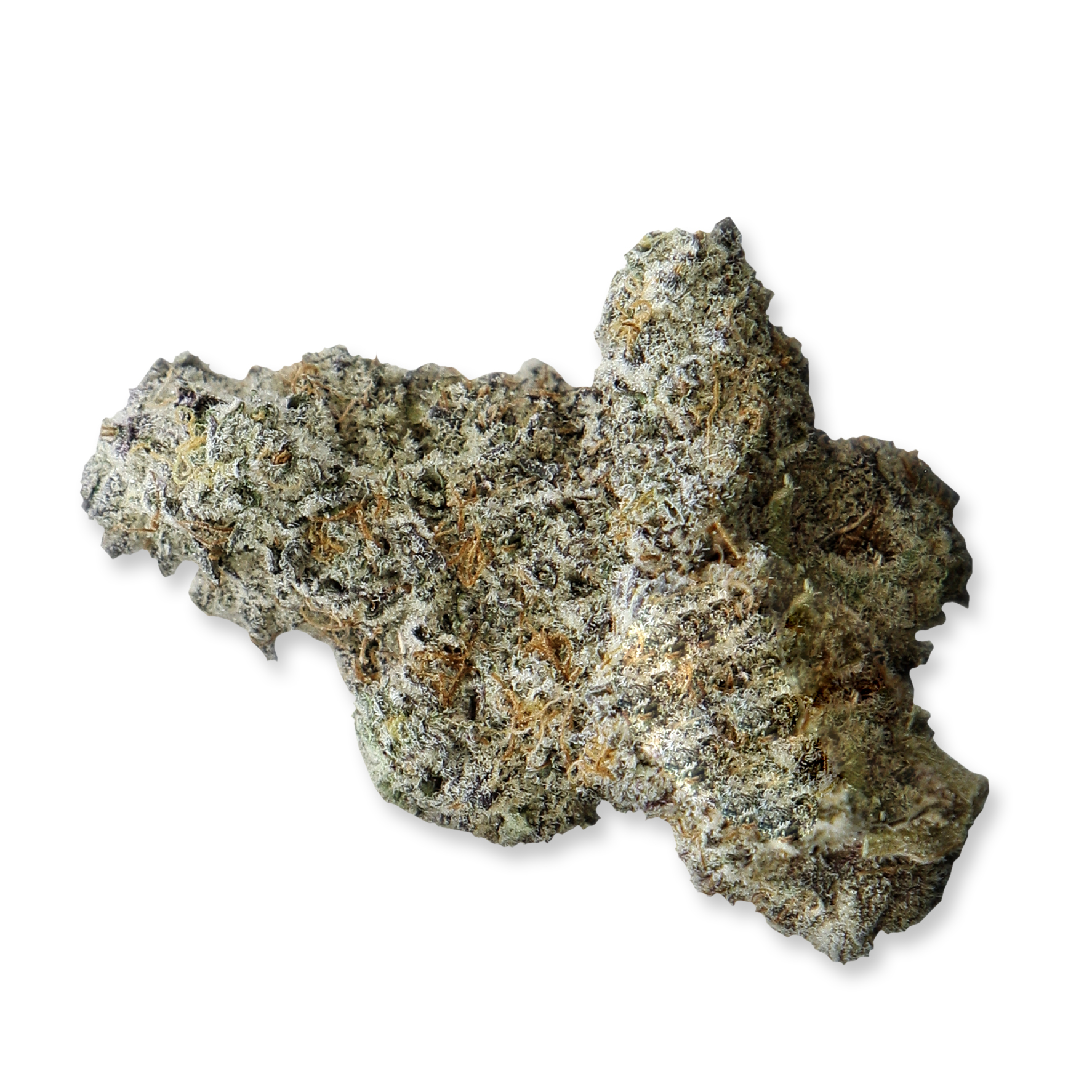 Nahaufnahme einer medizinischen Cannabisblüte