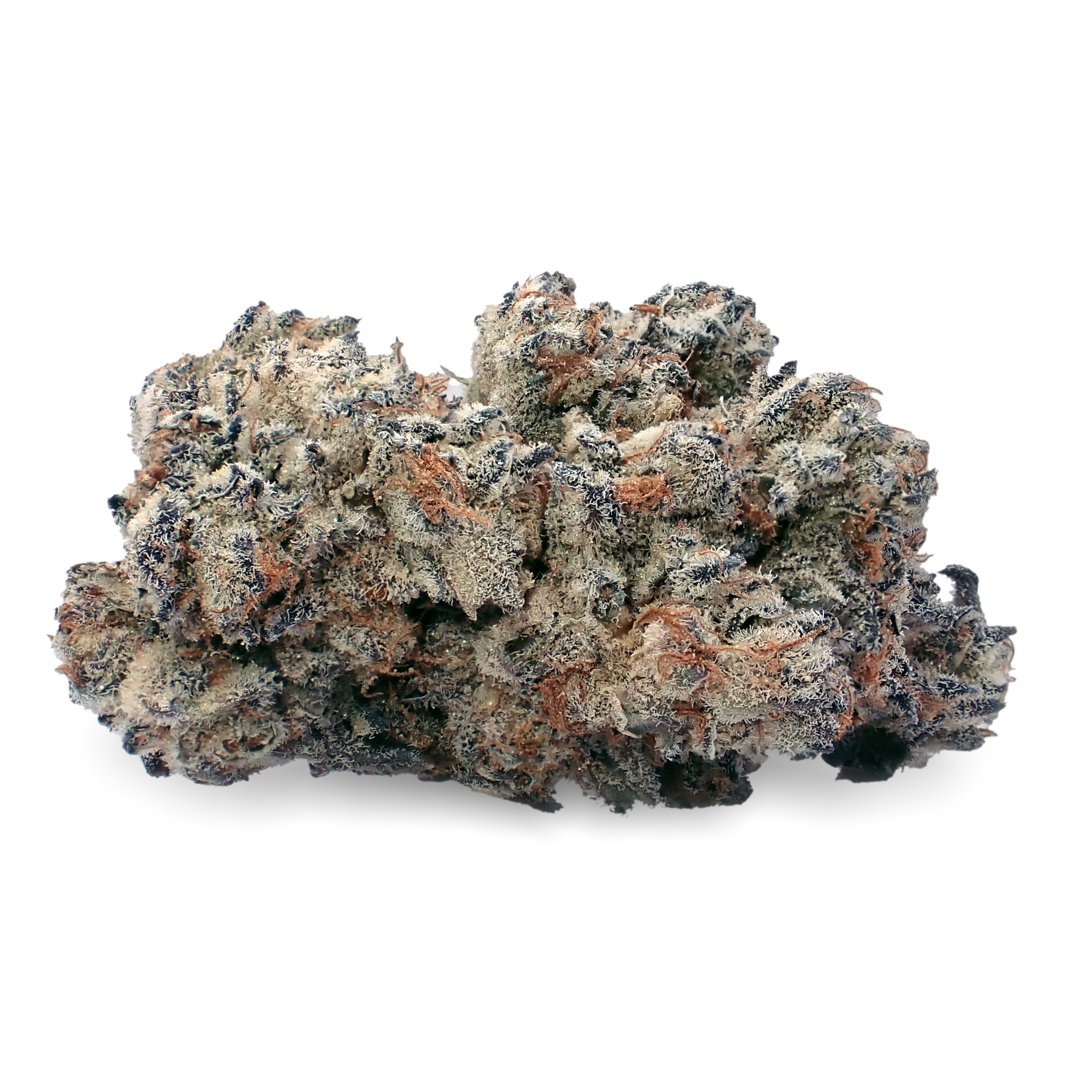 Nahaufnahme einer medizinischen Cannabisblüte