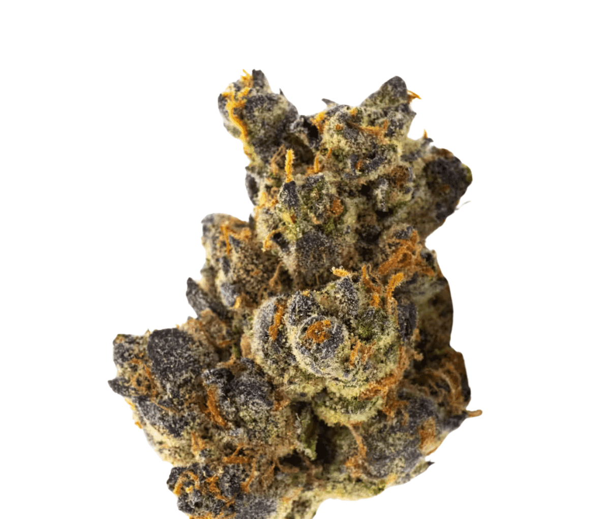 420 Compound 33/1 CA GAP - Gastro Pop