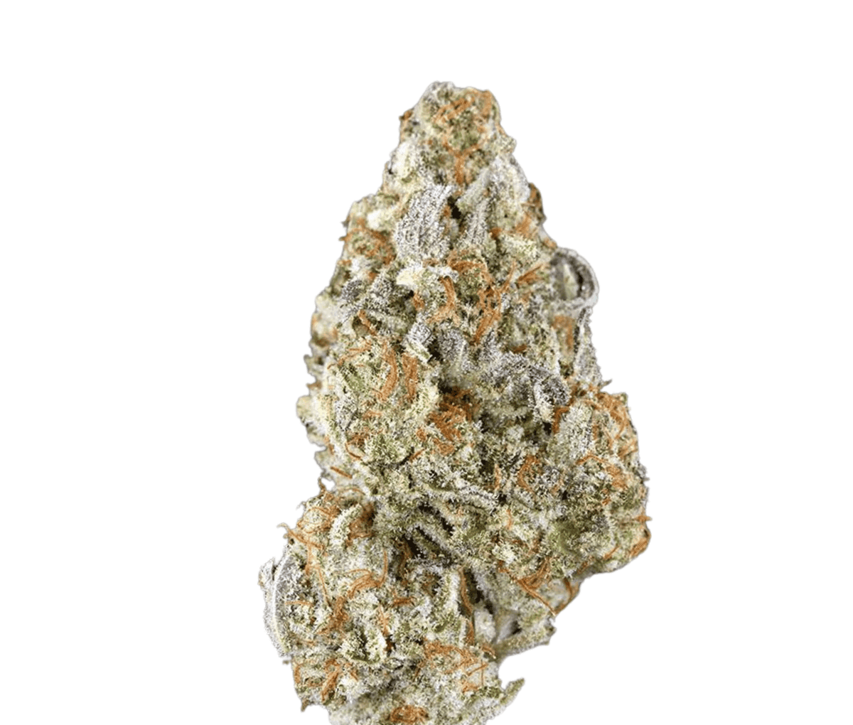 Enua 27/1 DSH CA Enua 27/1 DSH CA