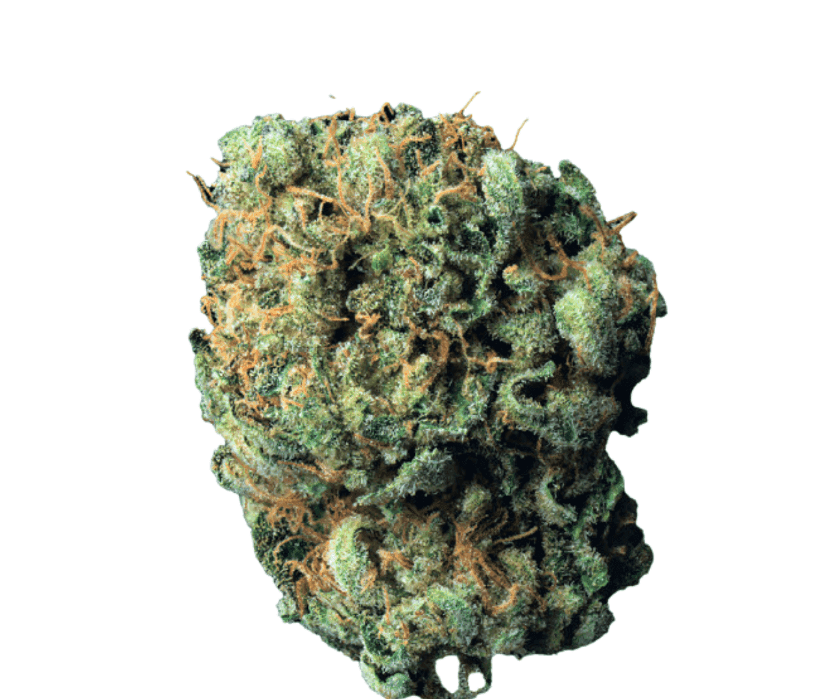 Origine Nature MED 30/1 - Medellin Origine Nature MED 30/1 - Medellin