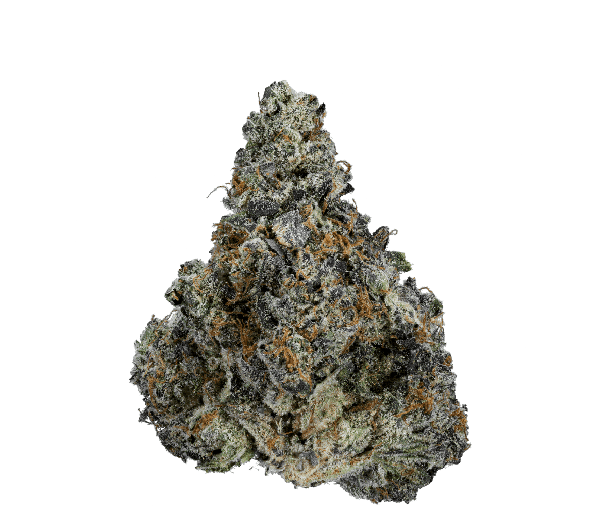 Enua 22/1 MAC F CA - MAC Flurry