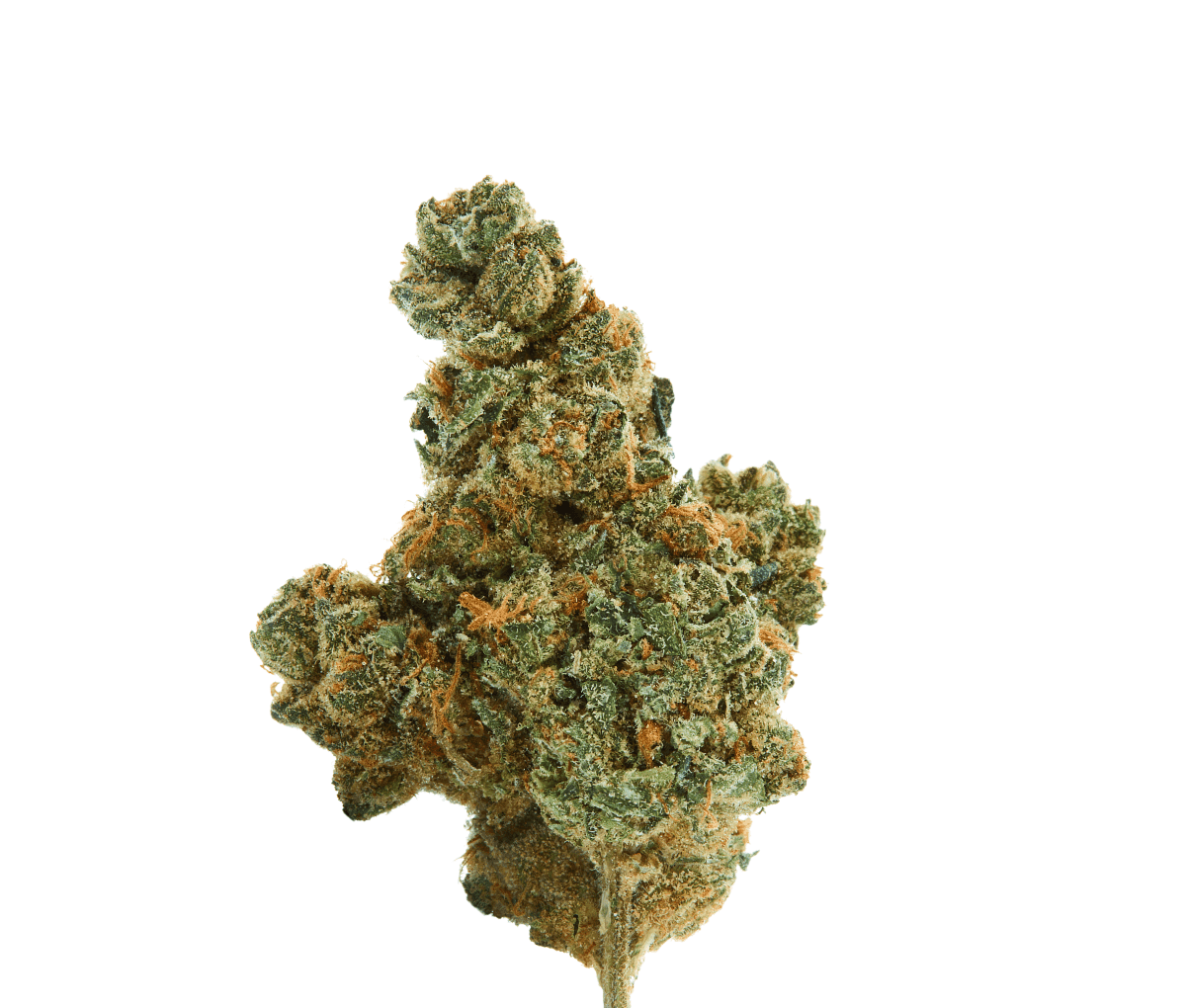 IMC GPI THC26 - Grapple Pie